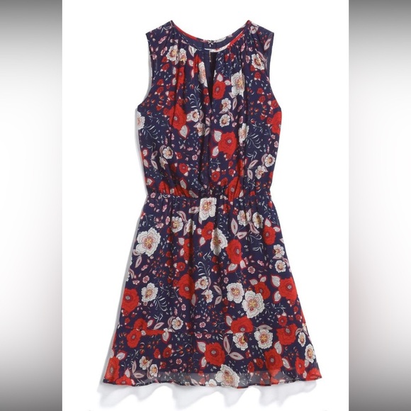 Greylin Navy and Red Floral Silk Mini Dress - Picture 1 of 13